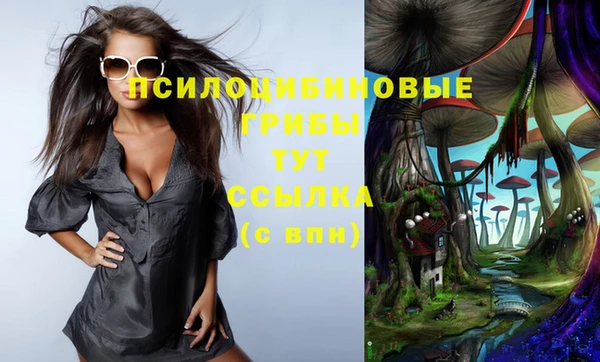 соль ск Навашино